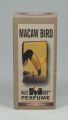 MACAW BIRD