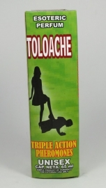 TOLOACHE
