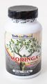 MORINGA